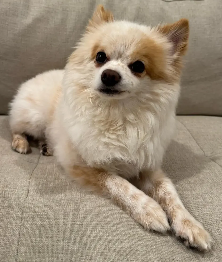 Milo's Mummy